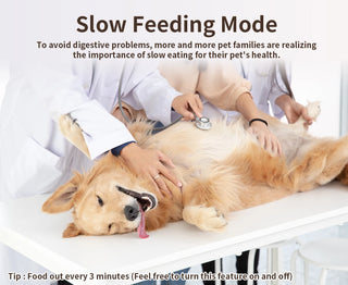 APP Control Smart Automatic Pet Feeder