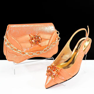 Italian Design Fashion Shoes & Matching Bag Set