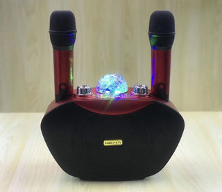 Family Ktv Microphone Set